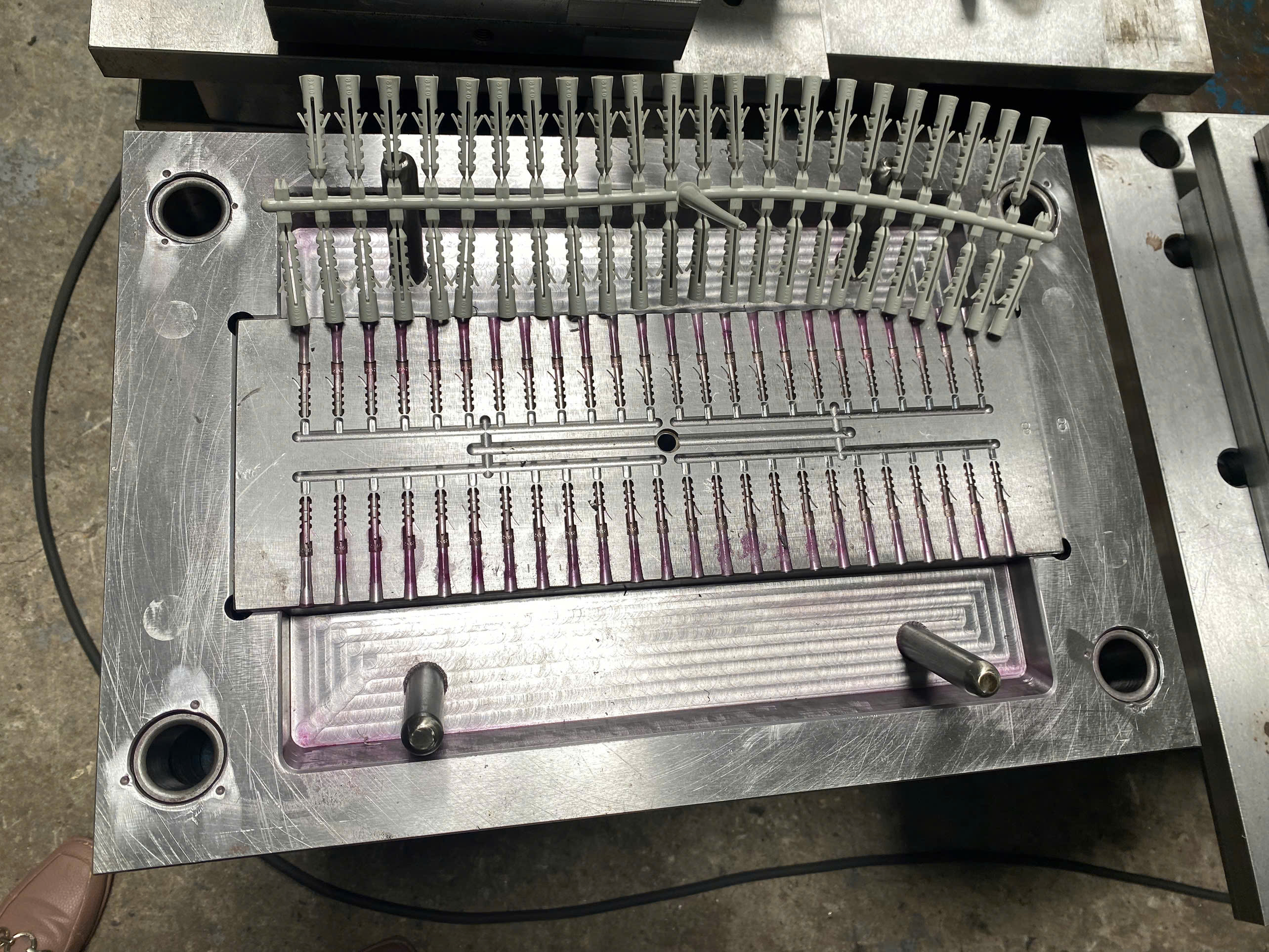 Mold 2.jpg